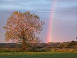 Groansicht "Regenbogen"